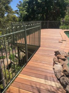 Spotted gum around the pool scaled