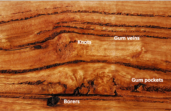Sawn timber showing borer marks, gum veins and pockets and knots